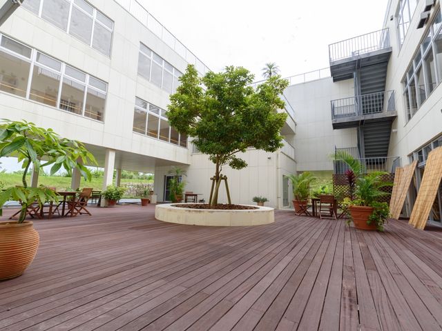 広々とした明るい中庭 ウッドデッキ 自然光あふれる、ゆったりした中庭です。木陰でのひとときやお友達とのおしゃべりに最適な空間を提供しています。
