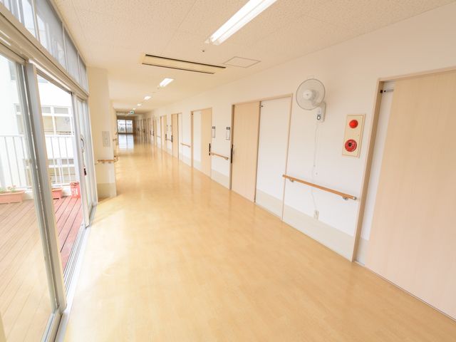 明るい廊下と扉 廊下 清潔で広々とした廊下は、日差しが差し込み明るい雰囲気を演出しています。手すりが整っており、安全にご移動いただける環境です。