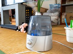 畳と加湿器のある部屋