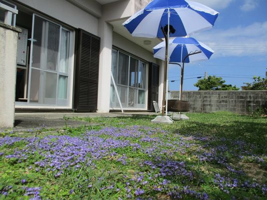 花咲く中庭のある庭  