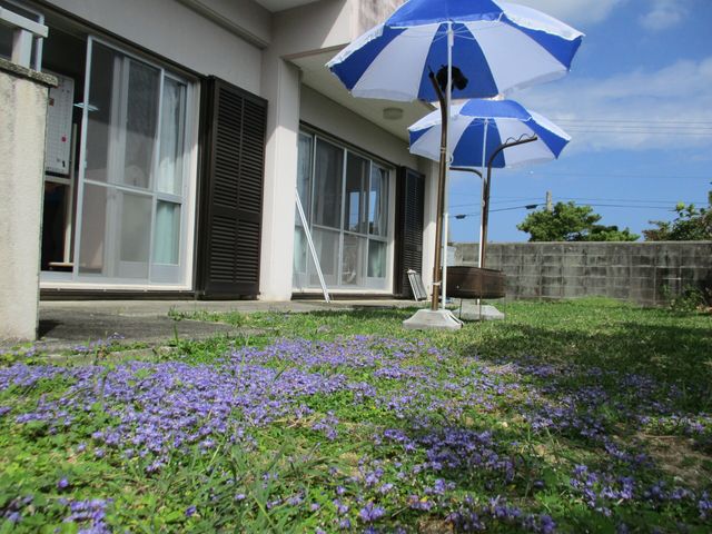 花咲く中庭のある庭  
