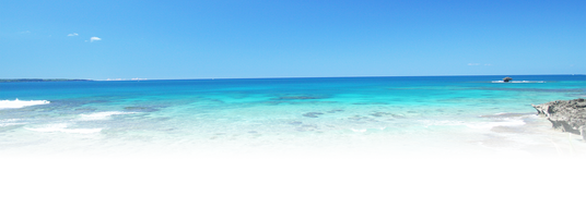 透き通る青い海の風景