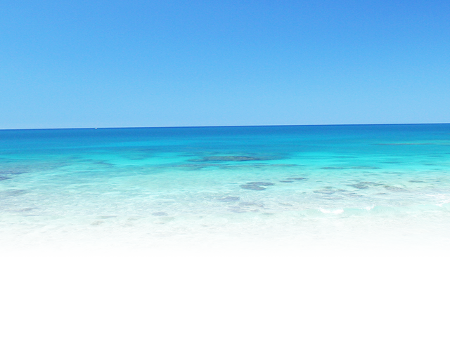 透き通る青い海の風景 庭 美しい青い海の広がる風景です。自然の中でリラックスできる特別な空間です。