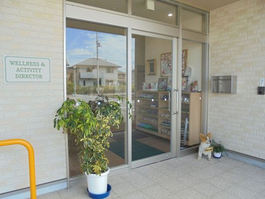 玄関ドアと植木のエントランス