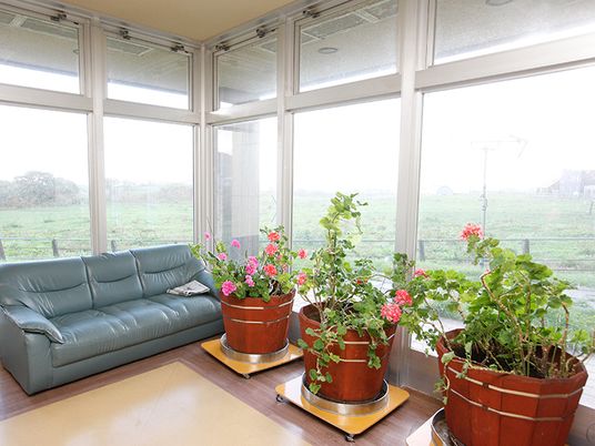 自然光の入るラウンジ