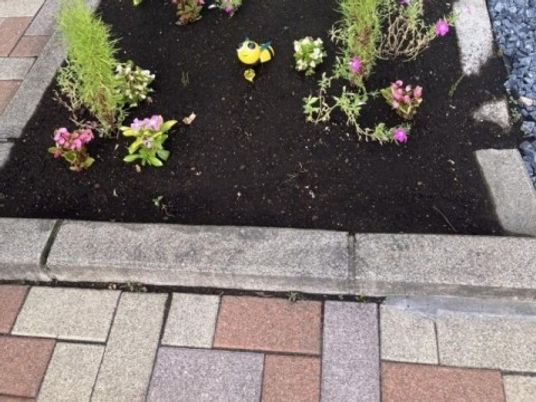 花壇のある庭