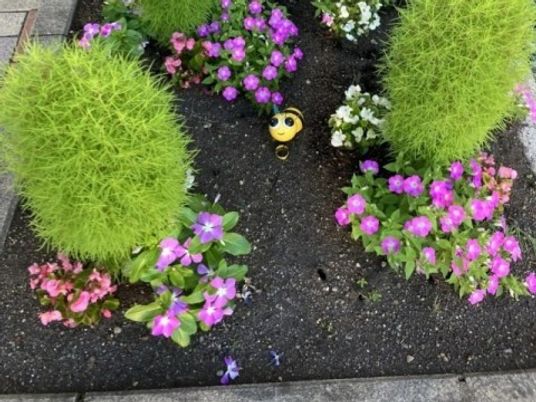 花壇のある庭  