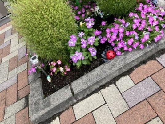 花壇のある外観  