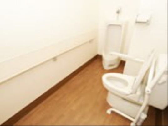 トイレの壁には、壁と同系色の手すりが一本渡してある。蓋つきの便座と男性用便器とがある。便座の周りにも掴まれる場所を用意している。