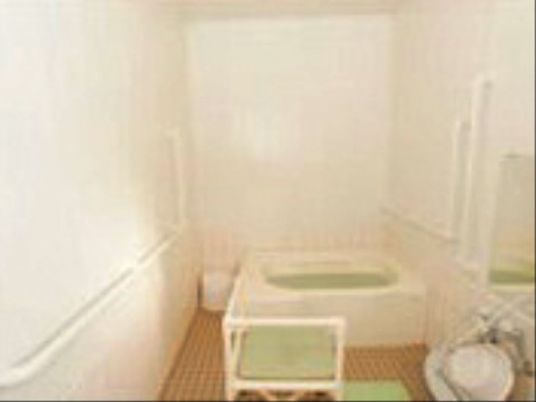 浴室には、左右の壁に長い手すりが取り付けてある。浴槽とシャワーがあり、鏡付きでもある。緑色のシートのお風呂用椅子が置かれている。