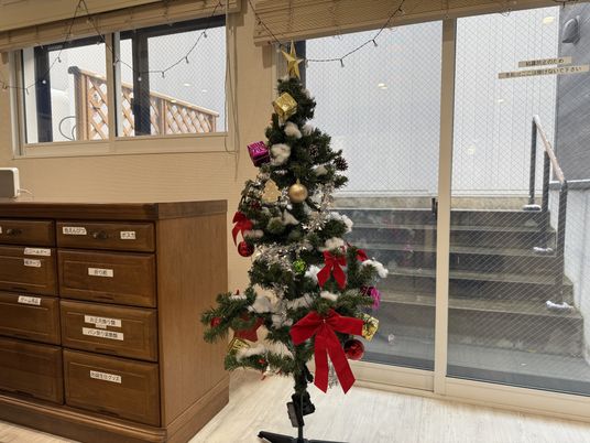 クリスマスツリーのある室内