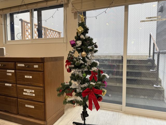 クリスマスツリーのある室内 内観 明るい窓際に飾られたクリスマスツリーが、居心地の良さを感じさせます。スタッフが季節感を大切にしています。