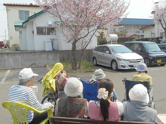 桜を眺める利用者達
