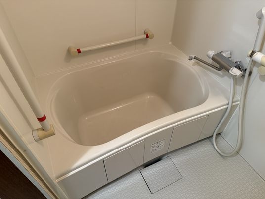 家庭的な浴槽の浴室