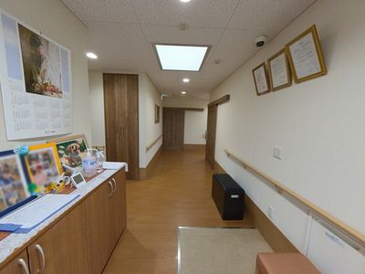 明るい廊下