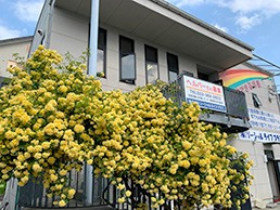 ソーシャルライフプラスの外観