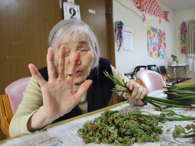 和やかな活動の様子