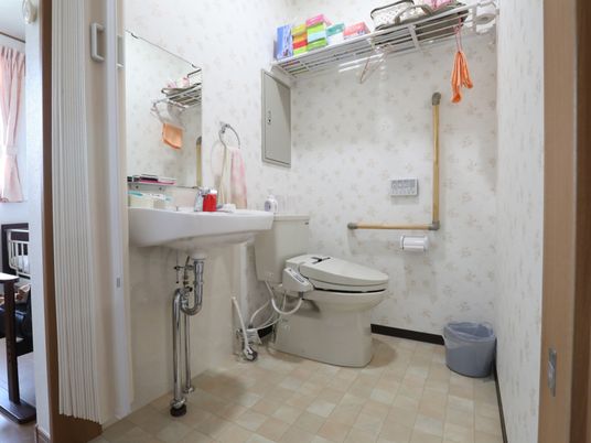 安全な設備のトイレ