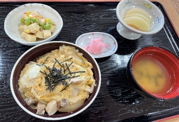 美味しそうな和食の盛り合わせ