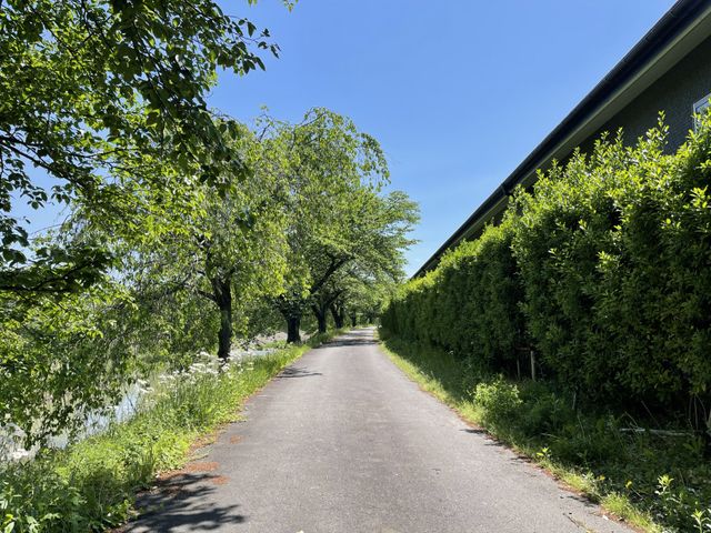 ゆったりとした散歩道 中庭 緑豊かな散歩道で、心地よい風を感じながら散策をお楽しみいただけます。