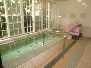 浴槽と手すりの浴室  