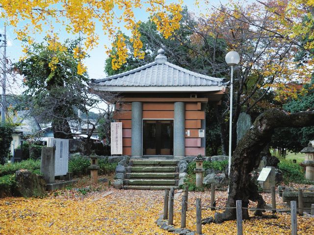 秋の庭 庭 紅葉が美しい庭です。風情ある季節を感じながら、心安らぐひとときを過ごせます。