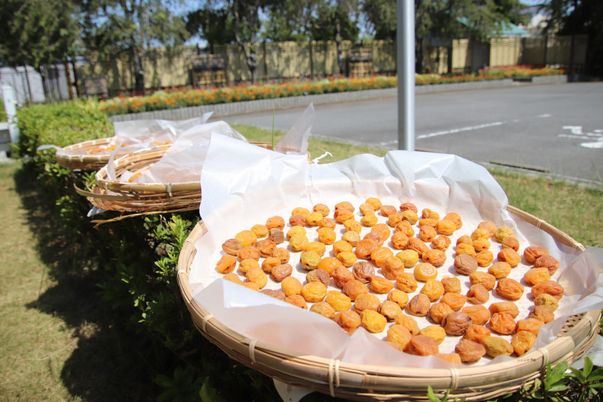 晴天の下で梅干し作り