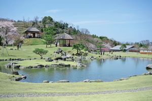 自然豊かな庭