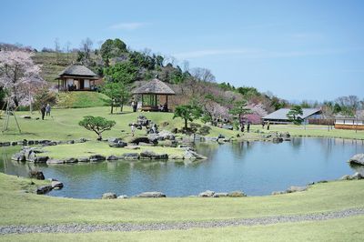自然豊かな庭