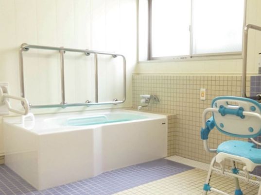 施設の写真 梯子のような持ち手の多い手すりが付いている浴室。シャワーチェアが置いてあるスペース