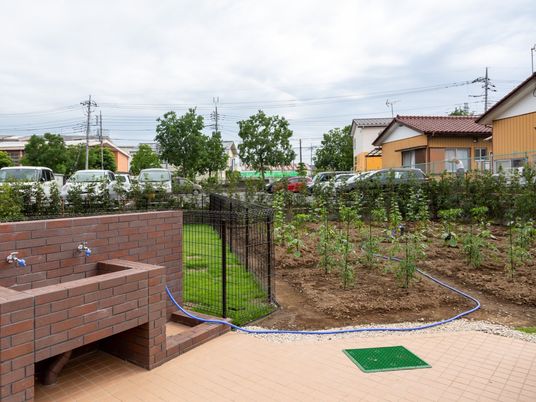 手入れされた緑豊かな庭