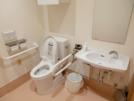 手すり付きトイレと洗面台