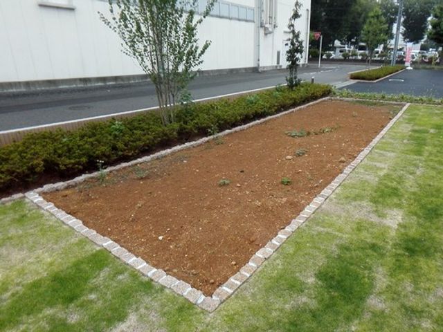 小さな花壇の庭 庭 手入れされた花壇が特徴の庭です。心地よい緑に囲まれてリラックスできます。
