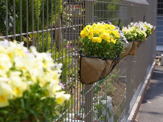 色とりどりの花が咲く中庭