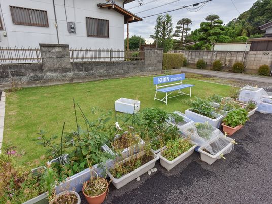 植物が並ぶ室外の一角