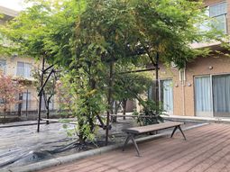 緑豊かな庭園