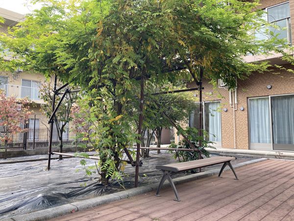 緑豊かな庭園