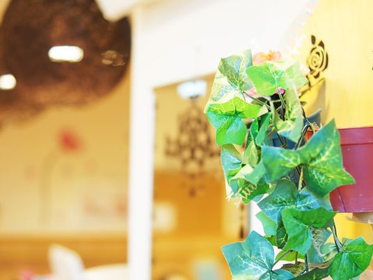 観葉植物のある廊下  