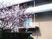 桜と建物の外観  