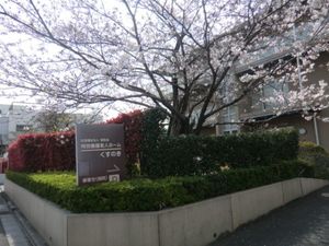 桜と看板のある外観  