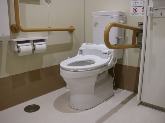 トイレには洋式便器が設置されている。便器の両側には手すりがあり、壁側には呼び出しボタンも用意されている。