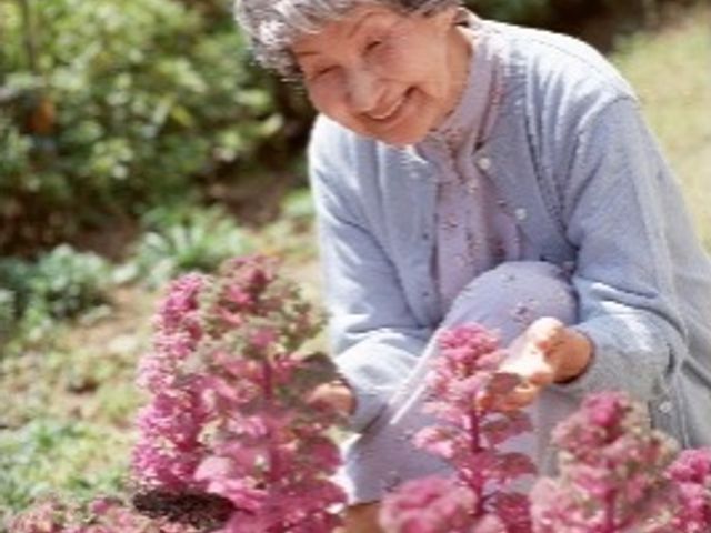 庭で植物を手入れする人 日常 手入れが行き届いた庭で、植物のお手入れに笑顔で取り組む様子が感じられます。明るい自然光のもと、心穏やかな一時を過ごせる環境があります。