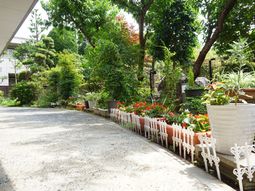 緑豊かな庭の風景