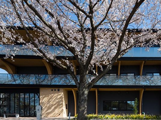 桜が映える外観  