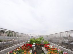 中庭の色とりどりの花壇