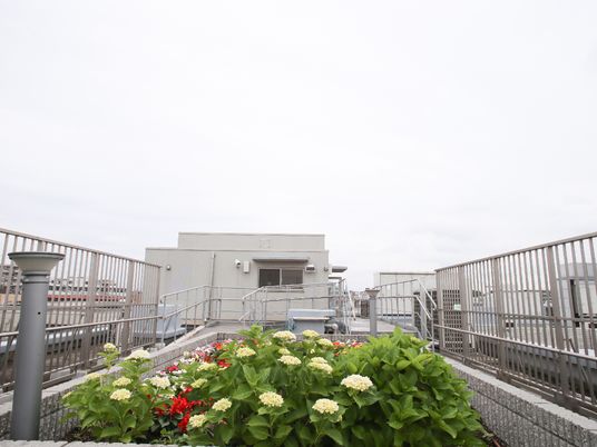 屋上の花壇と手すり