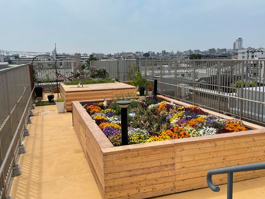花が咲く屋上庭園