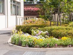中庭の花壇景観