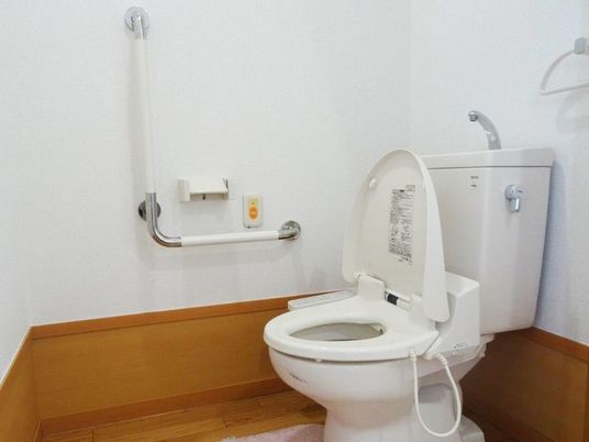 手すり付き清潔なトイレ