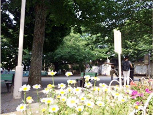 花と木々の美しい中庭
